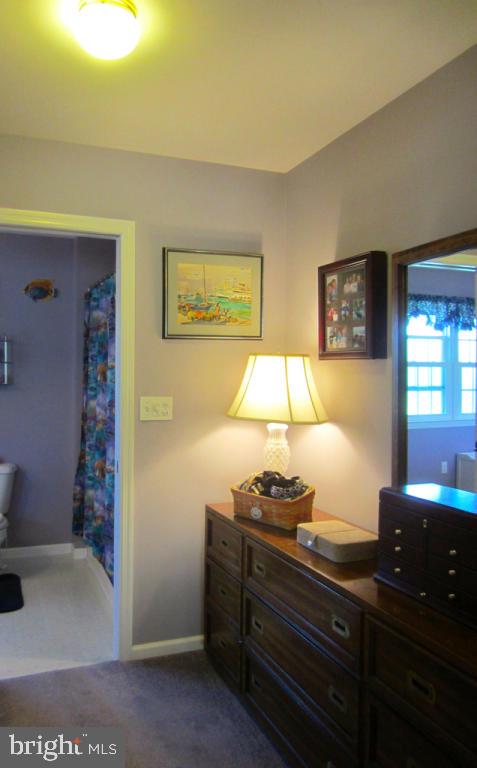 672 Laurel Avenue Lititz, PA 17543 - Photo 49 of 63