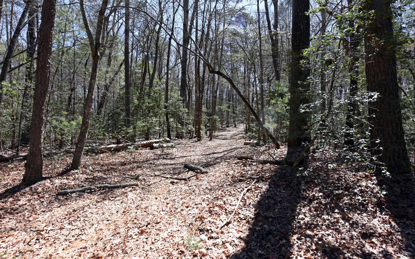 2 Hardscrabble Road Mineral Bluff, GA 30559 - Photo 3 of 25 Additional View
