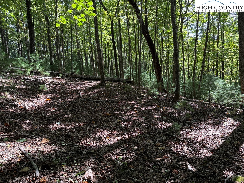 Lot 229 Deer Run Road Purlear, NC 28665 - Photo 6 of 38 a view of outdoor space with lots of trees