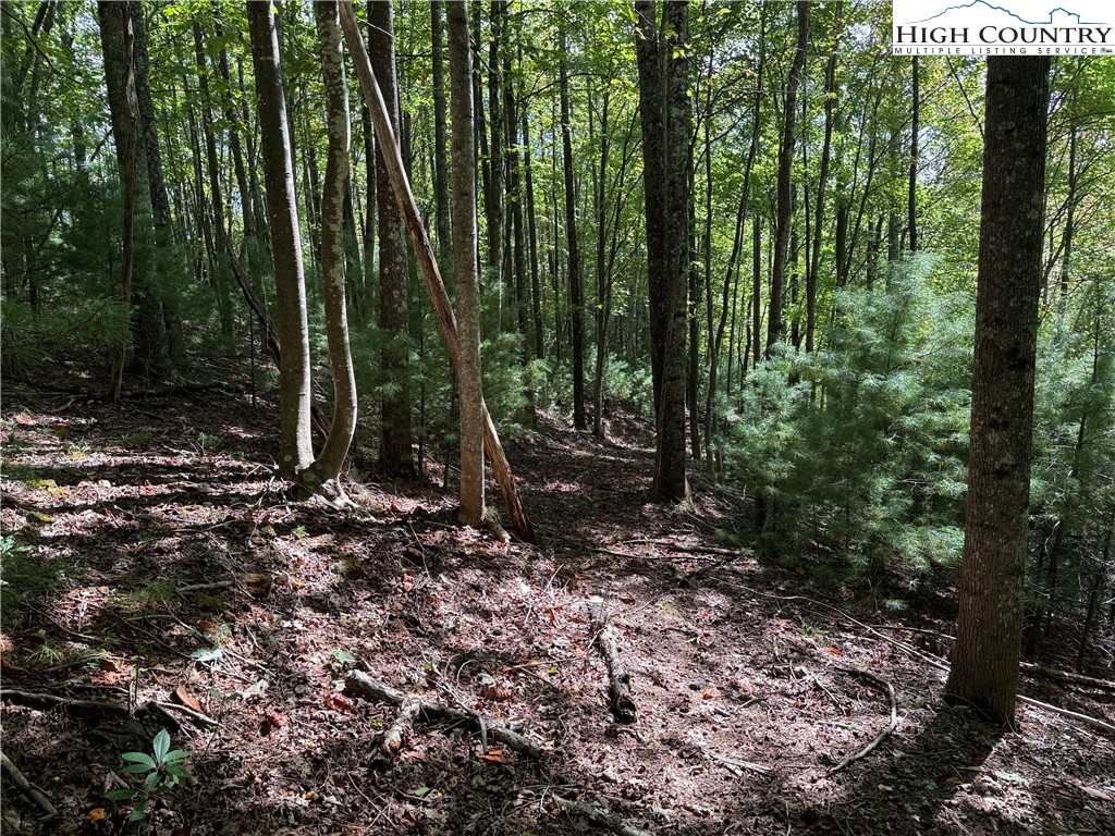 Lot 229 Deer Run Road Purlear, NC 28665 - Photo 7 of 38 a view of outdoor space and green space