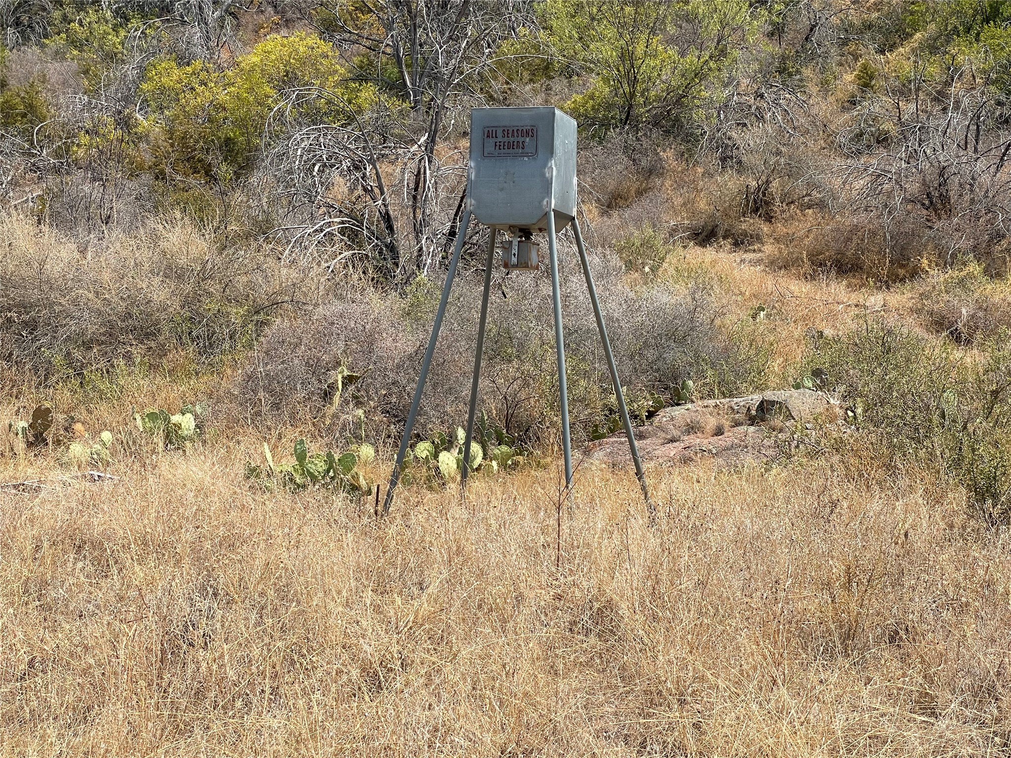 2939 Fm-2342 Road Burnet, TX 78611 - Photo 14 of 28 Wildlife feeder
