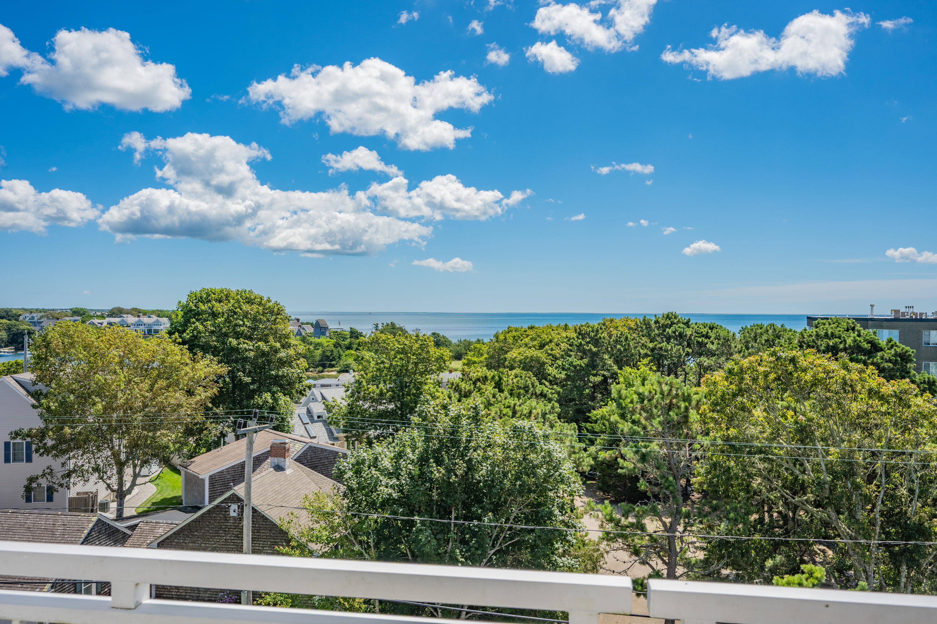 1 Belmont Road, Unit 542 West Harwich, MA 02671 - Photo 31 of 48 a view of a flower in a garden