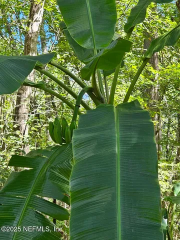 $1,600 | 2061 Harvard Street, Middleburg, FL 32068