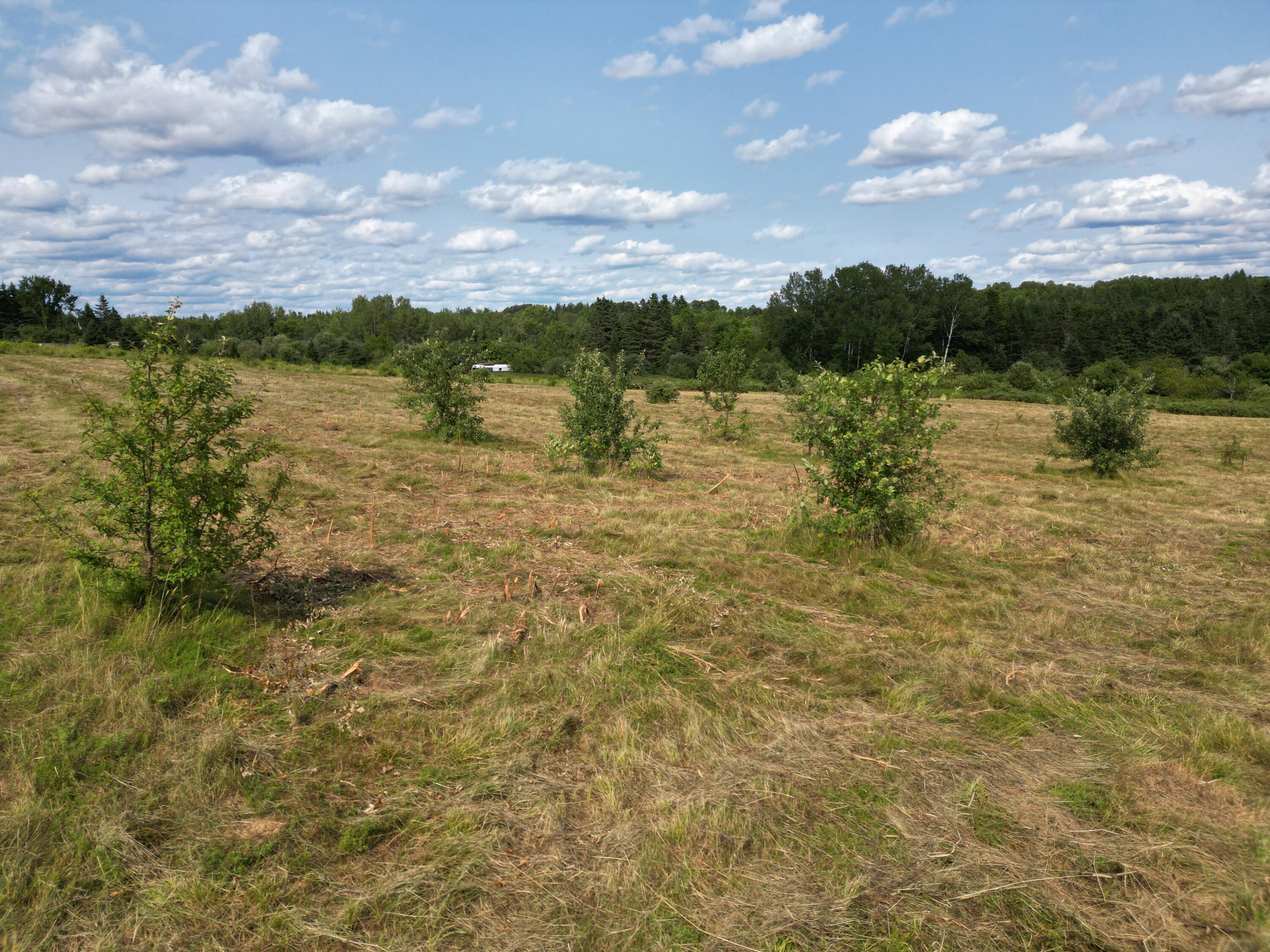 Lot 7 Happy Corner Road Patten, ME 04765 - Photo 11 of 23 DJI_0949