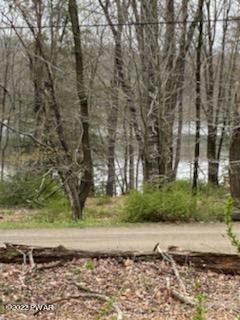 45 Lake Russell Road Newfoundland, PA 18445 - Photo 1 of 8