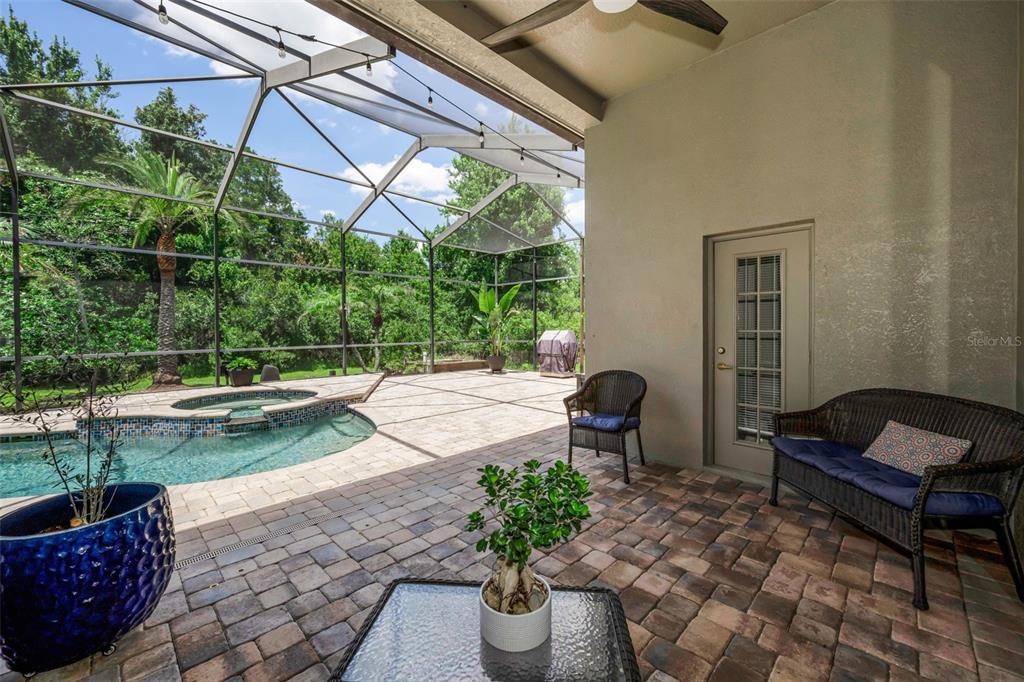 16207 Rambling Road Odessa, FL 33556 - Photo 41 of 76
