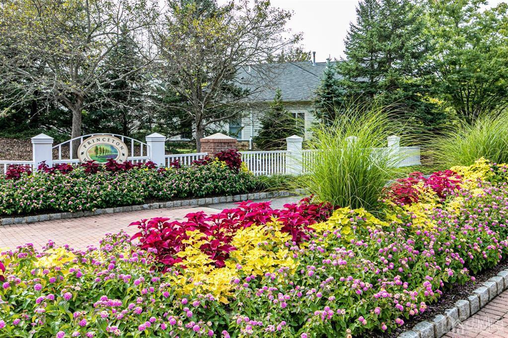 2423 Windrow Drive Plainsboro, NJ 08540 - Photo 33 of 36 a view of a flower in a garden with a lot of flower and flowers