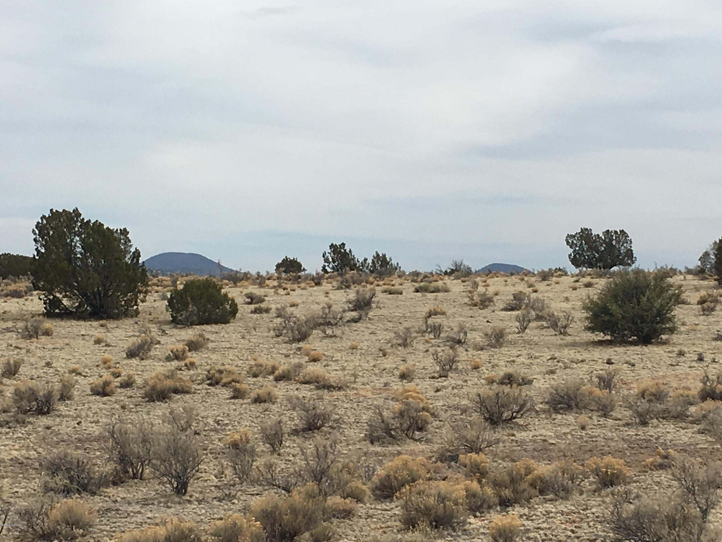 3533 West Singletree Road Williams, AZ 86046 - Photo 1 of 6 IMG_4701