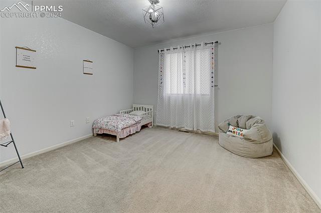 11150 Falling Star Road Fountain, CO 80817 - Photo 11 of 16 Gallery Image 11