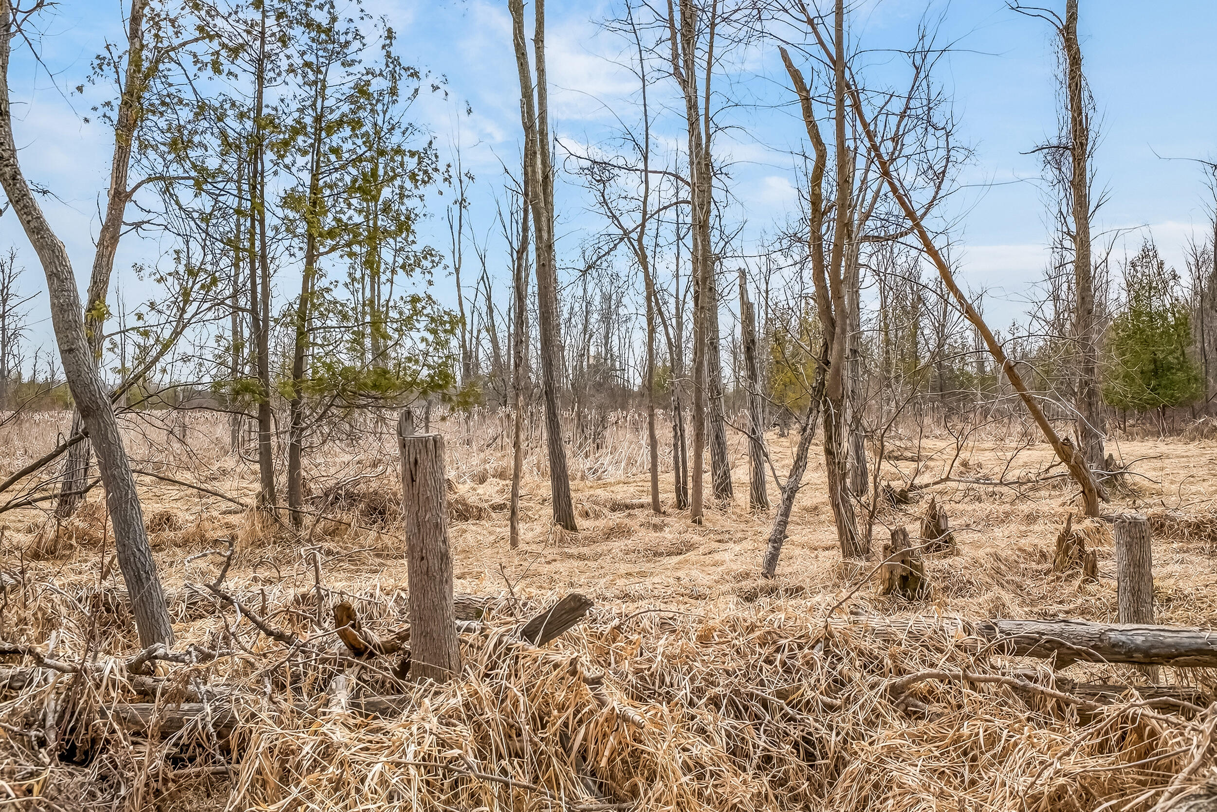 875 East Jackson Road Hart, MI 49420 - Photo 35 of 44 875 e jackson-12