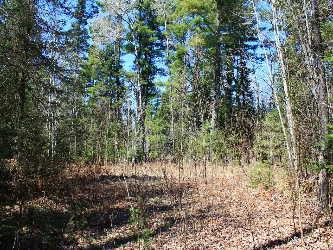 4260 Lake Of The Falls Road Mercer, WI 54547 - Photo 20 of 28 Gallery Image 20