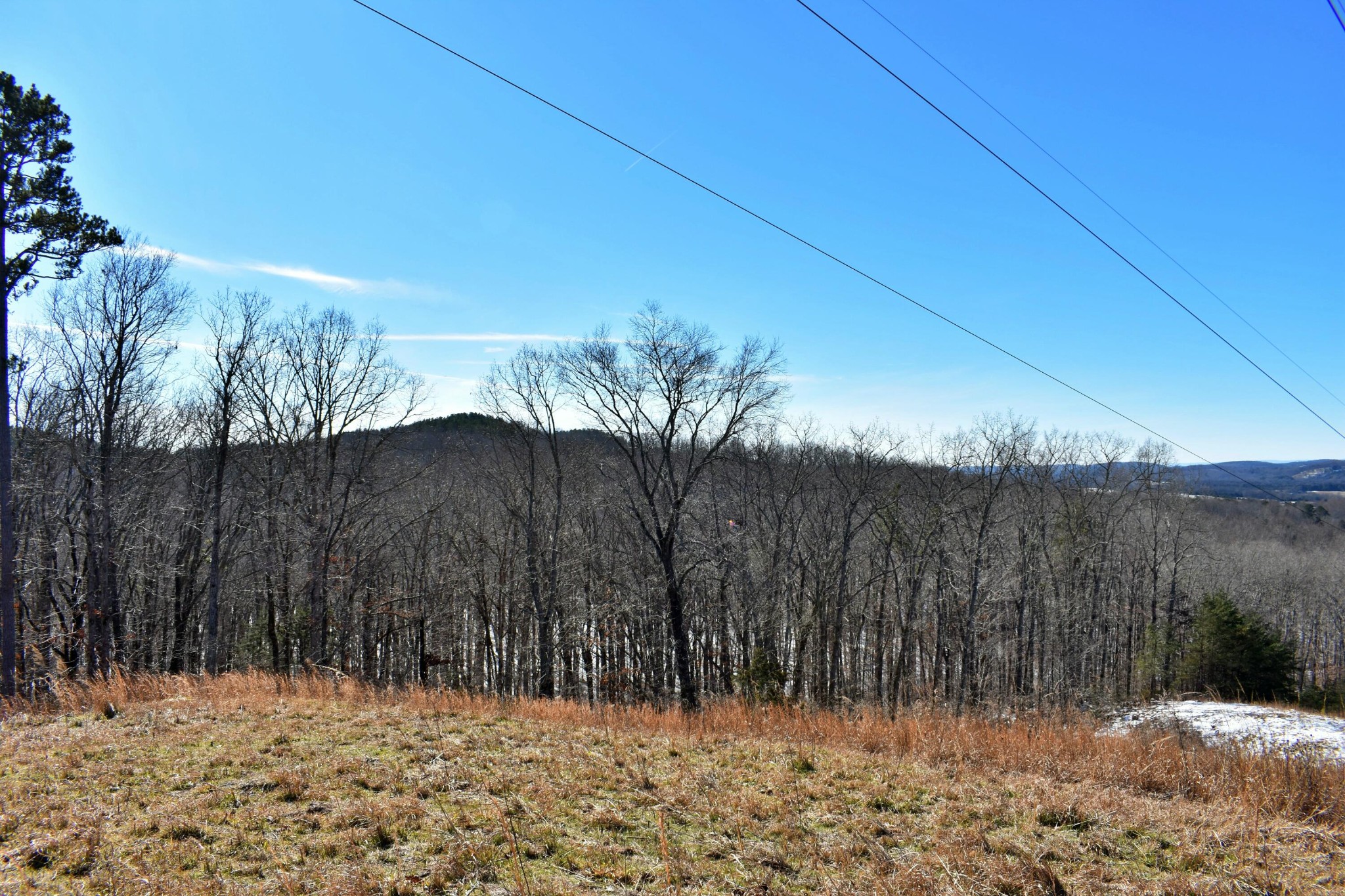 1237 Little Egypt Road Ten Mile, TN 37880 - Photo 46 of 53 Gallery Image 46
