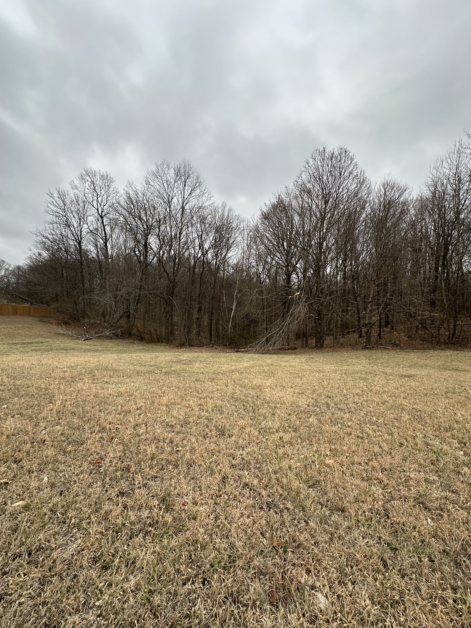 3694 Forte Road Joelton, TN 37080 - Photo 2 of 4 Gallery Image 2