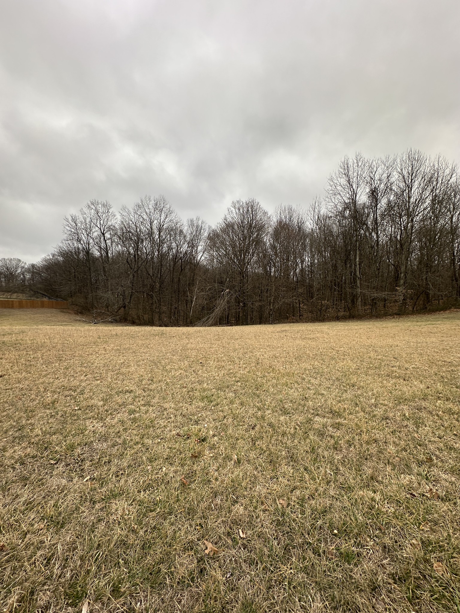 3694 Forte Road Joelton, TN 37080 - Photo 4 of 4 Gallery Image 4