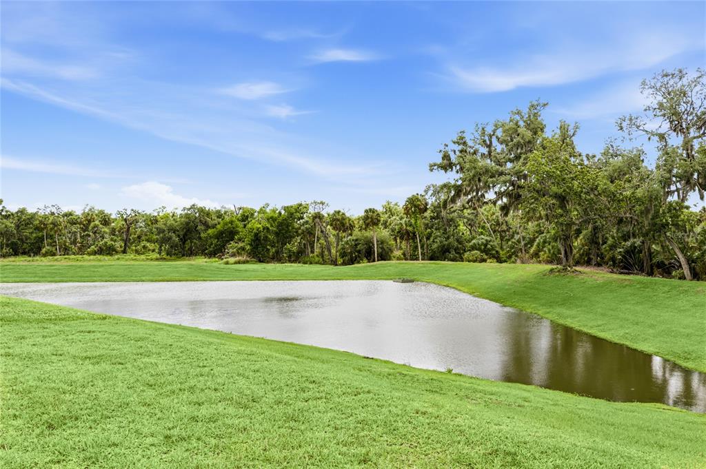 14269 Skipping Stone Loop Parrish, FL 34219 - Photo 32 of 70