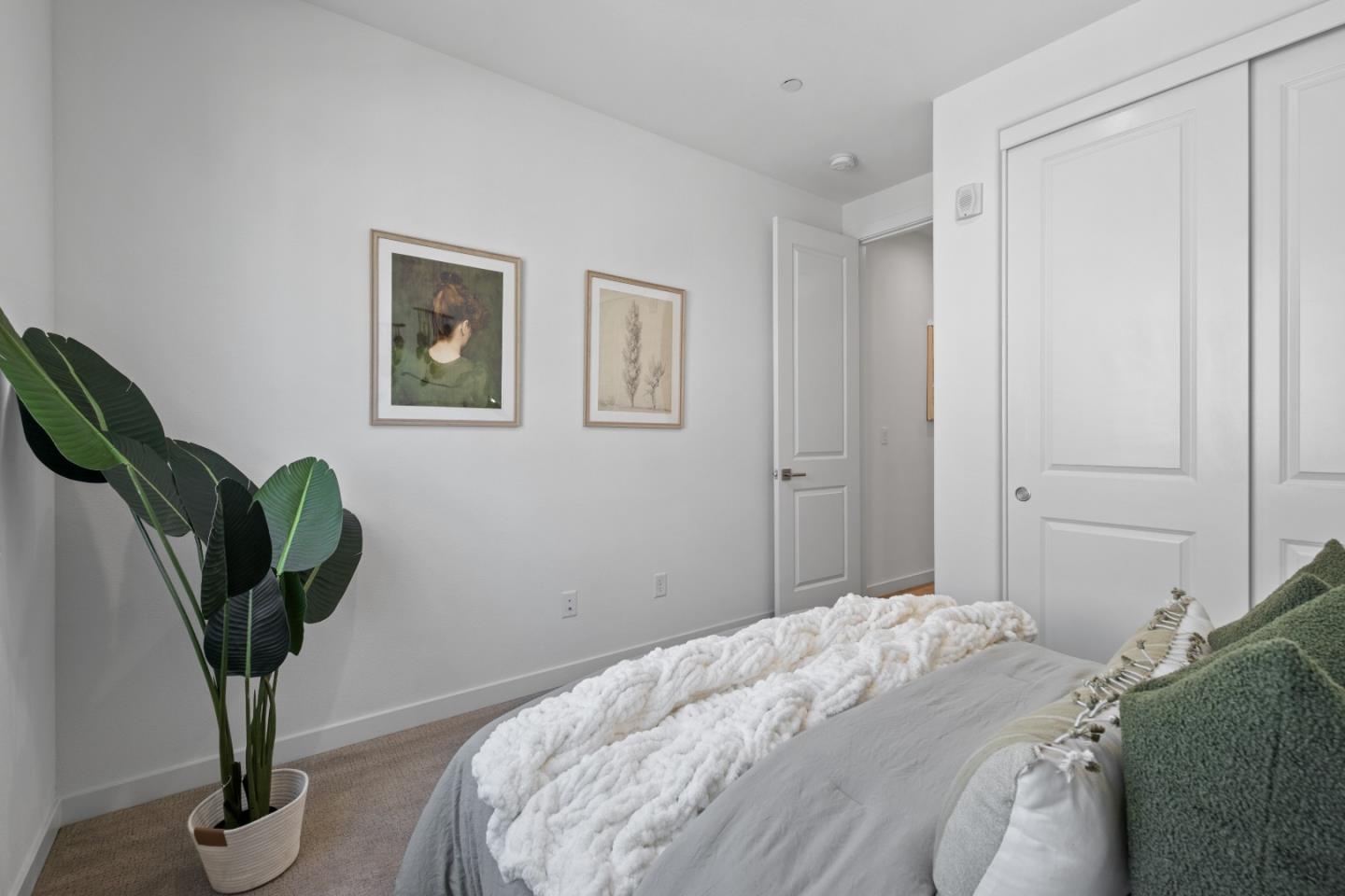 511 Sage Court Milpitas, CA 95035 - Photo 31 of 47 a bedroom that has a bed and a plant in it