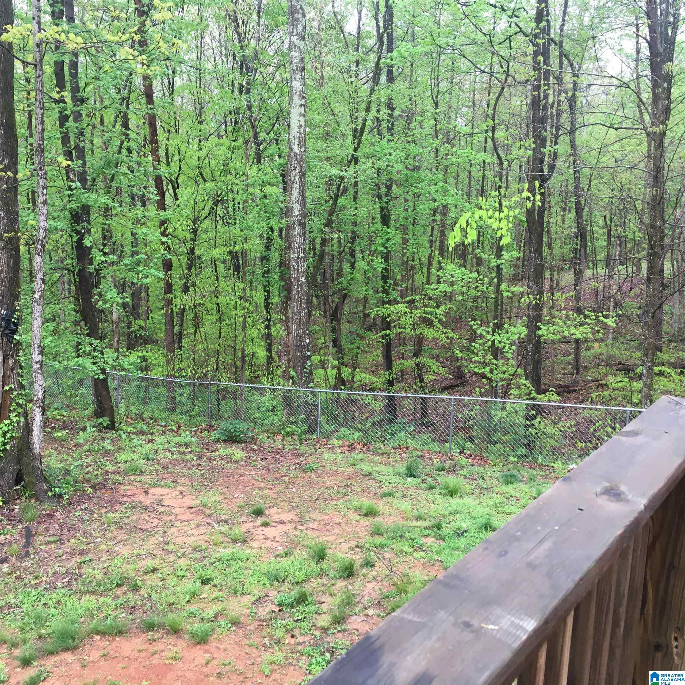 2459 Cox Cove Road Hayden, AL 35079 - Photo 16 of 18