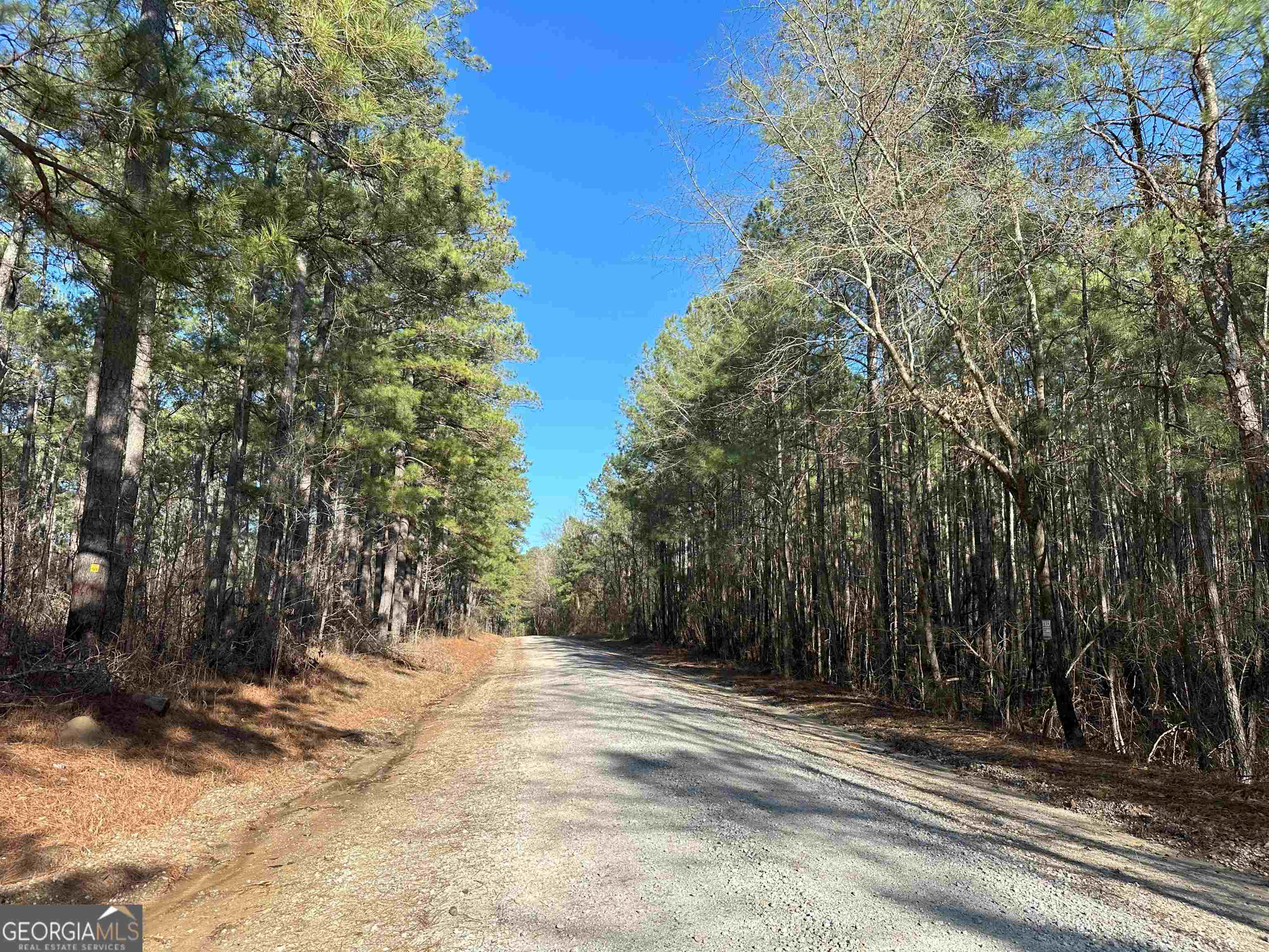 0 Penfield Road Greensboro, GA 30642 - Photo 1 of 1 Gallery Image 1