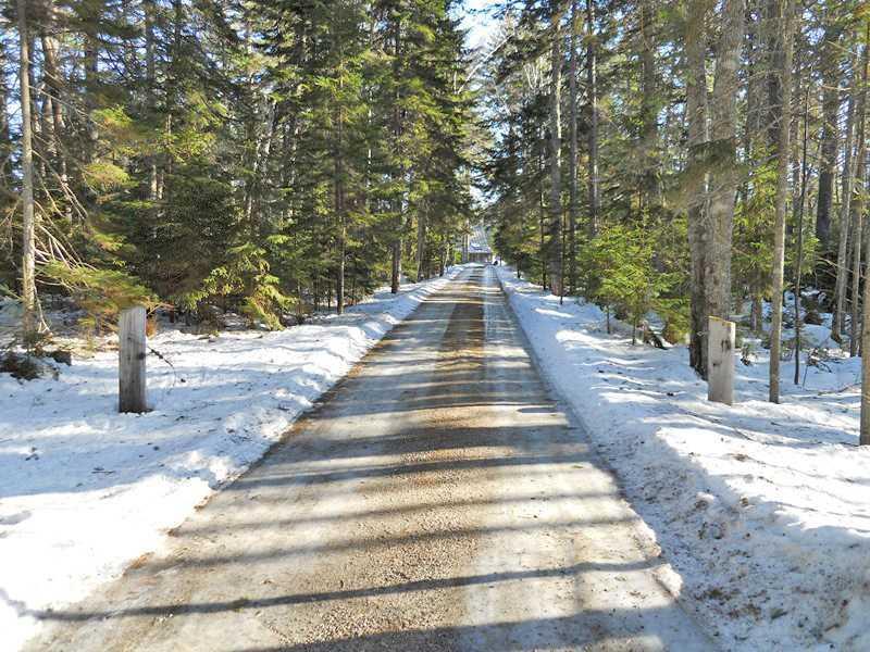 40 Northern Neck Road Mount Desert, ME 04660 - Photo 5 of 35 Other. Long private drive affording...