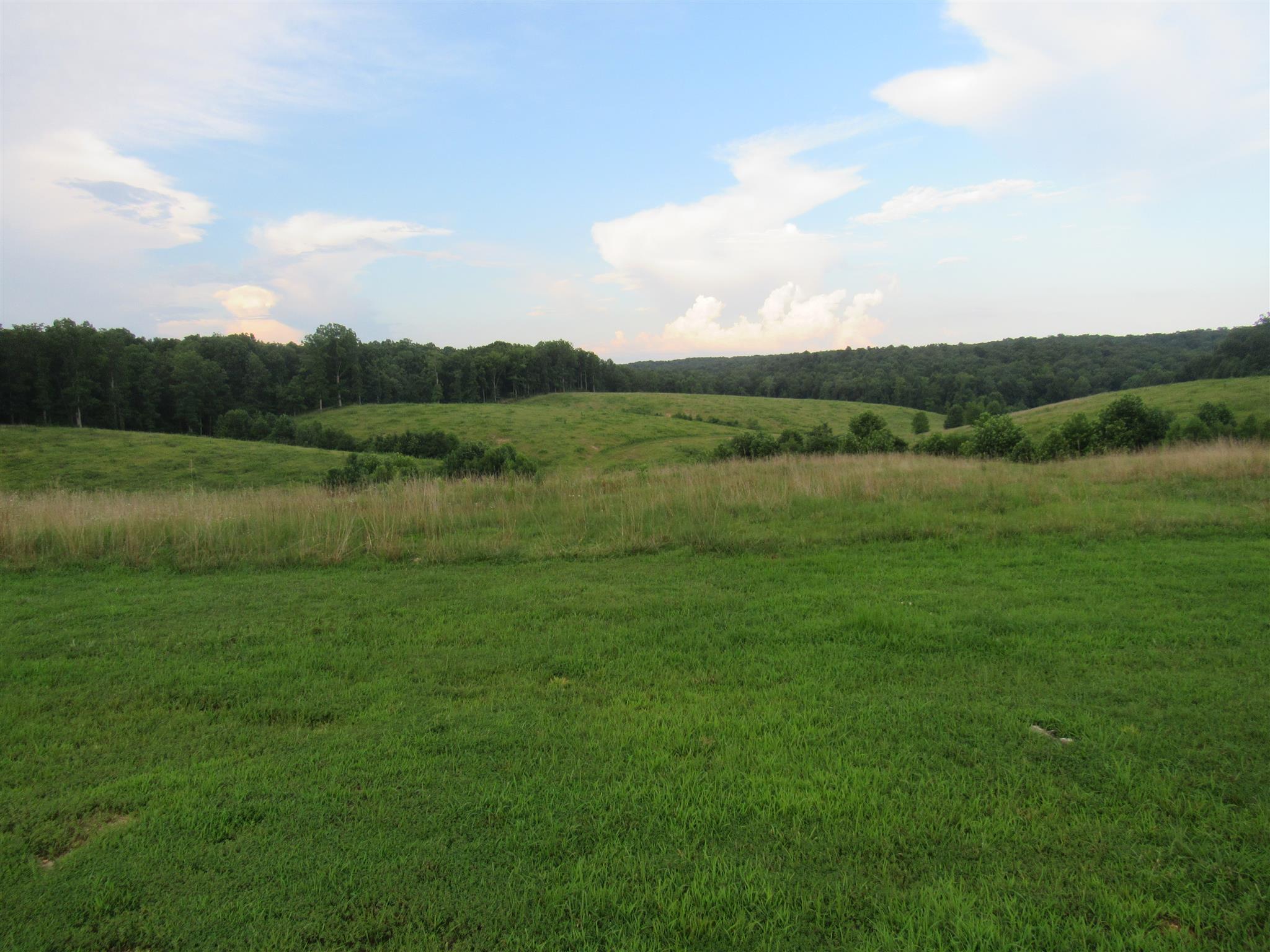 2050 CCC Road McEwen, TN 37101 - Photo 1 of 16 a view of a lake with a yard
