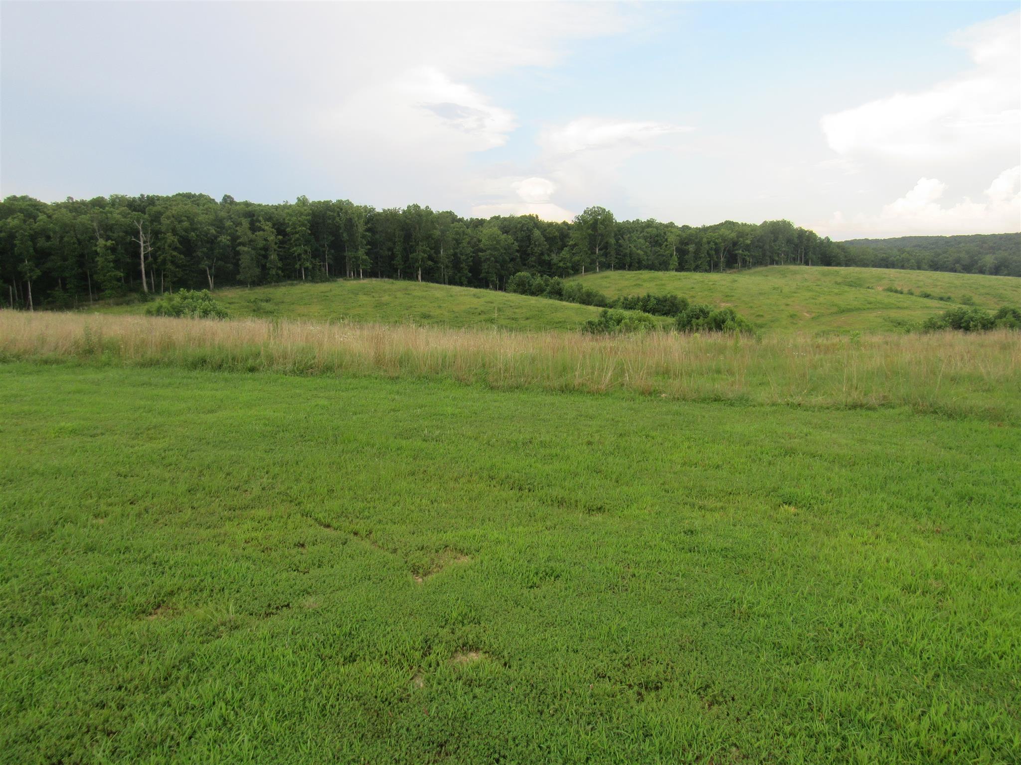 2050 CCC Road McEwen, TN 37101 - Photo 2 of 16 a view of a grassy field with trees