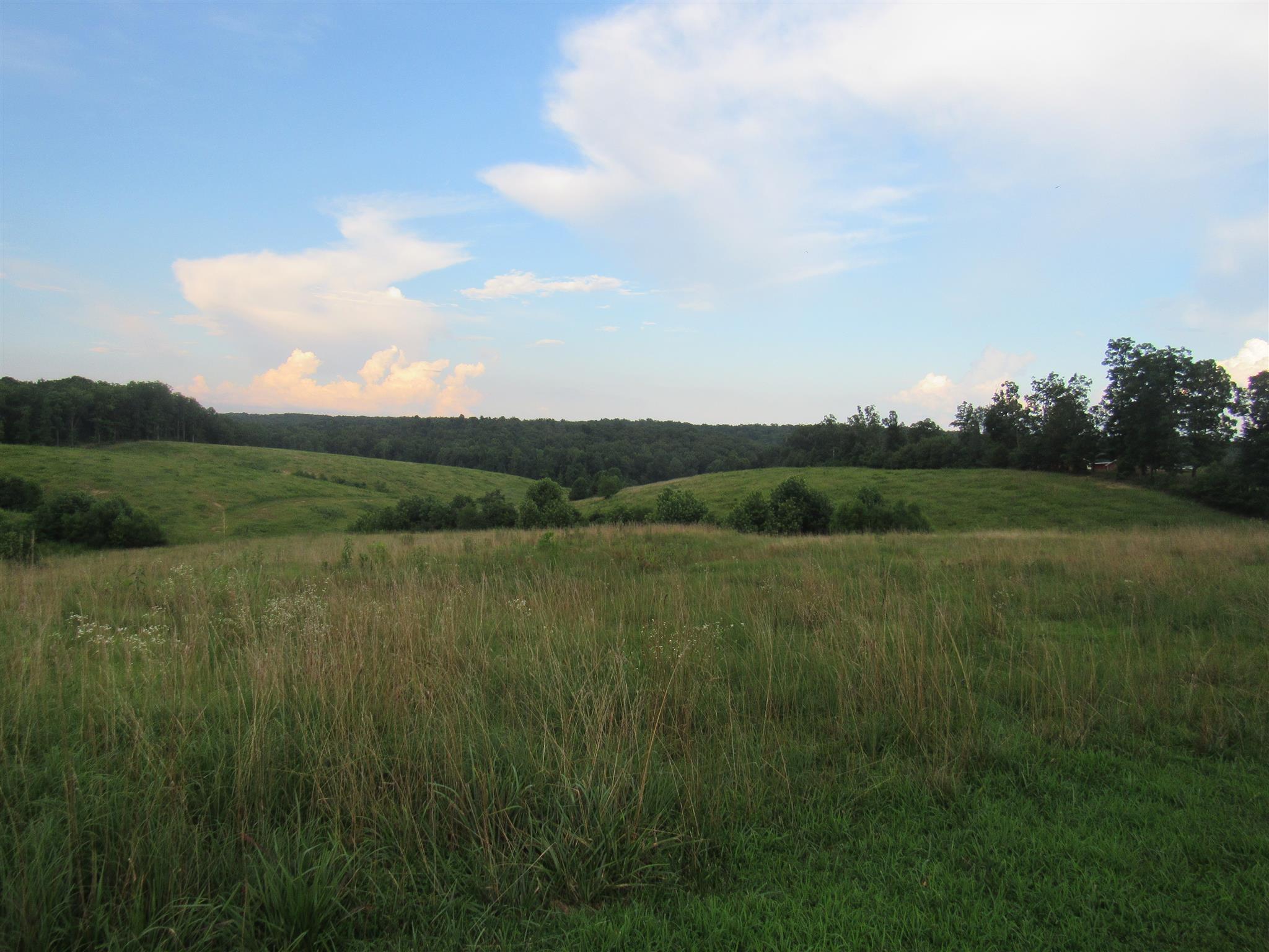 2050 CCC Road McEwen, TN 37101 - Photo 12 of 16 a view of an outdoor space and a yard