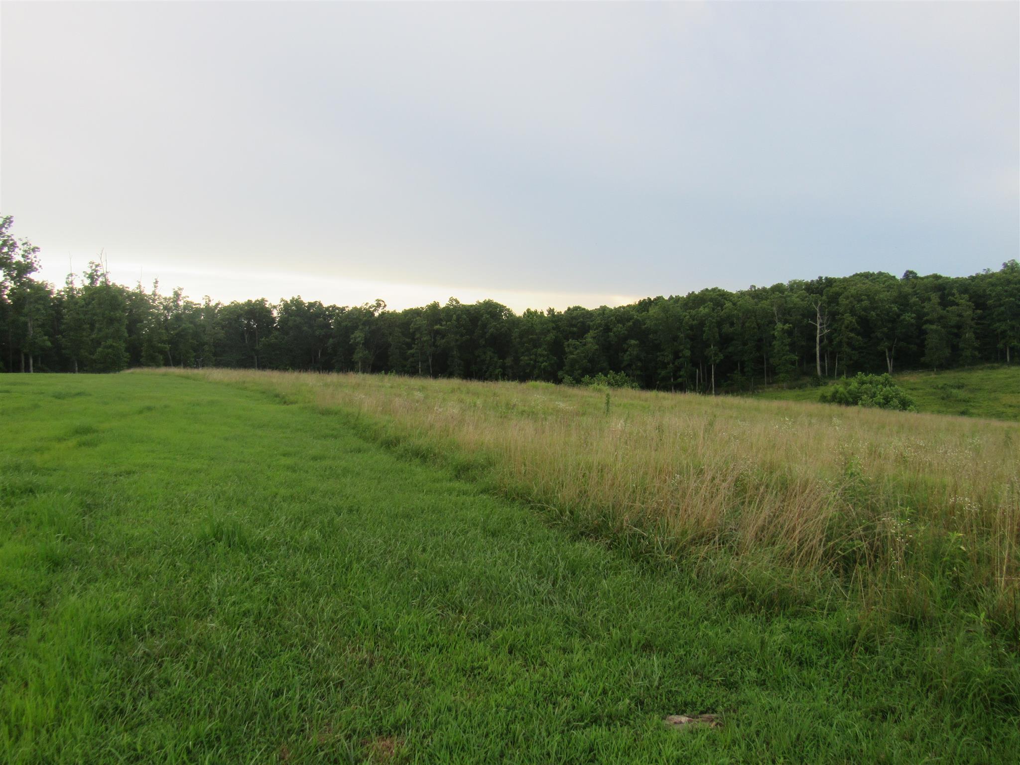 2050 CCC Road McEwen, TN 37101 - Photo 13 of 16 a view of a field with a tree