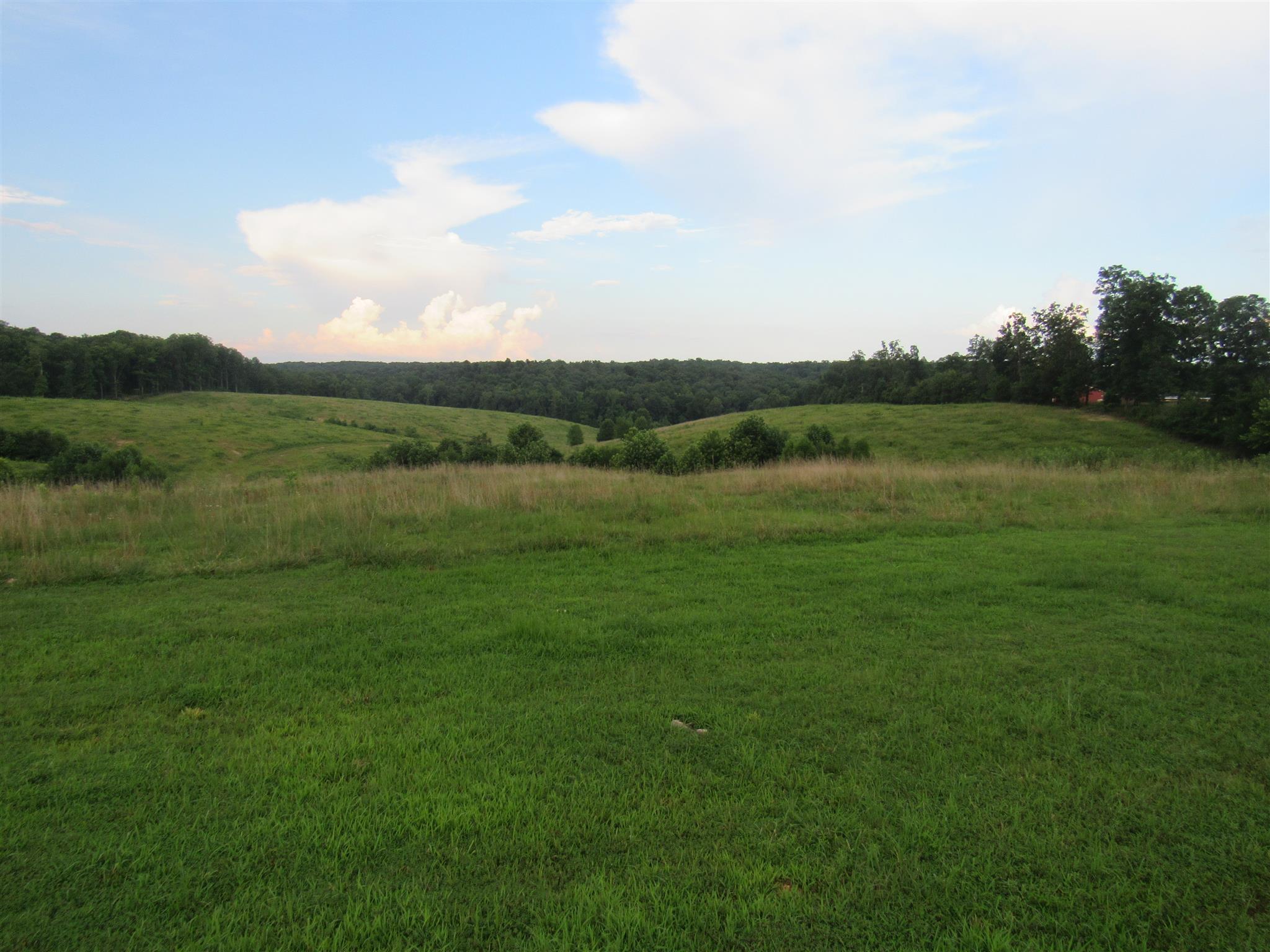 2050 CCC Road McEwen, TN 37101 - Photo 3 of 16 a view of a lake with a yard
