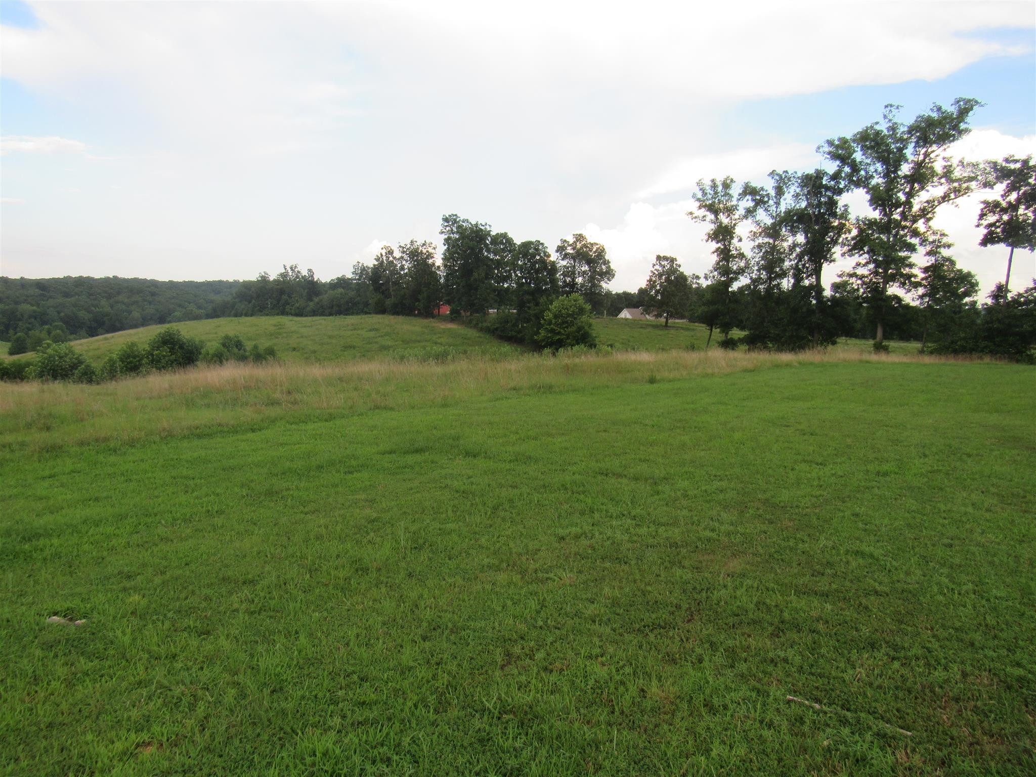 2050 CCC Road McEwen, TN 37101 - Photo 4 of 16 a view of field with trees in the background