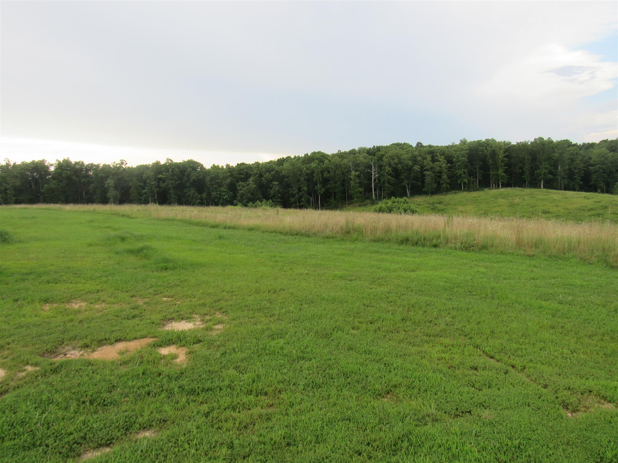 2050 CCC Road McEwen, TN 37101 - Photo 6 of 16 a view of field with lush green forest