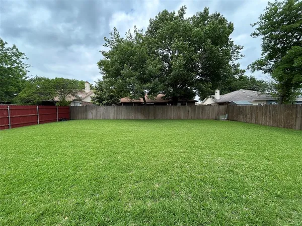 a view of a yard with a large tree and wooden fence