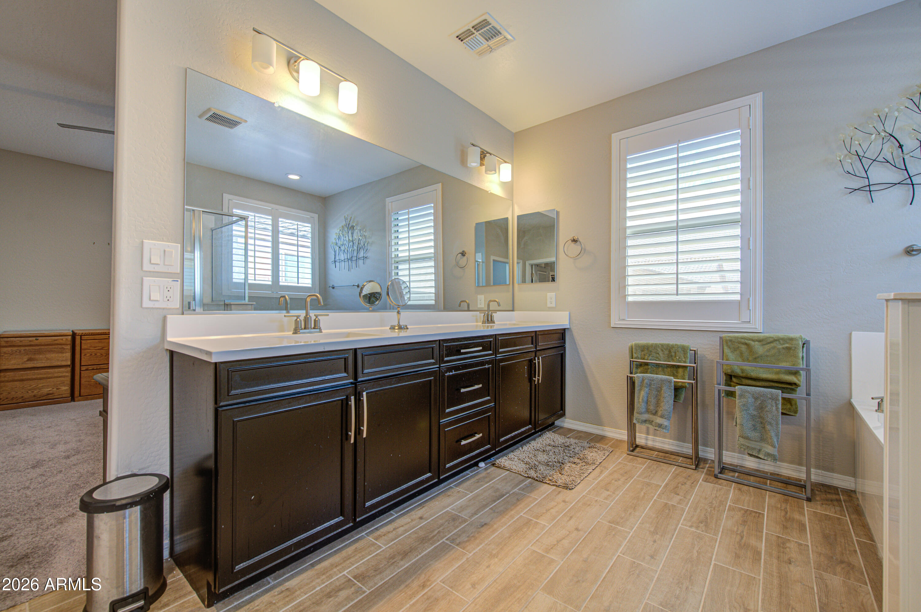 11927 East Pivot Peak Gold Canyon, AZ 85118 - Photo 29 of 53 Primary Bath 3