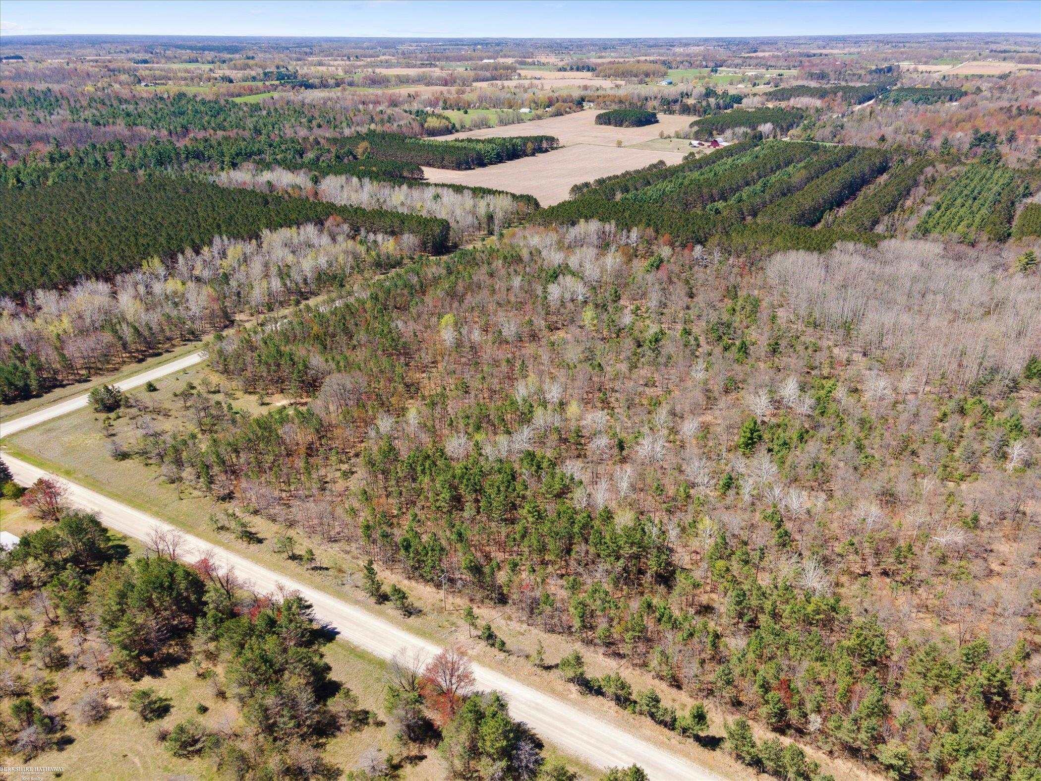 Hottis Road Whittemore, MI 48770 - Photo 12 of 21
