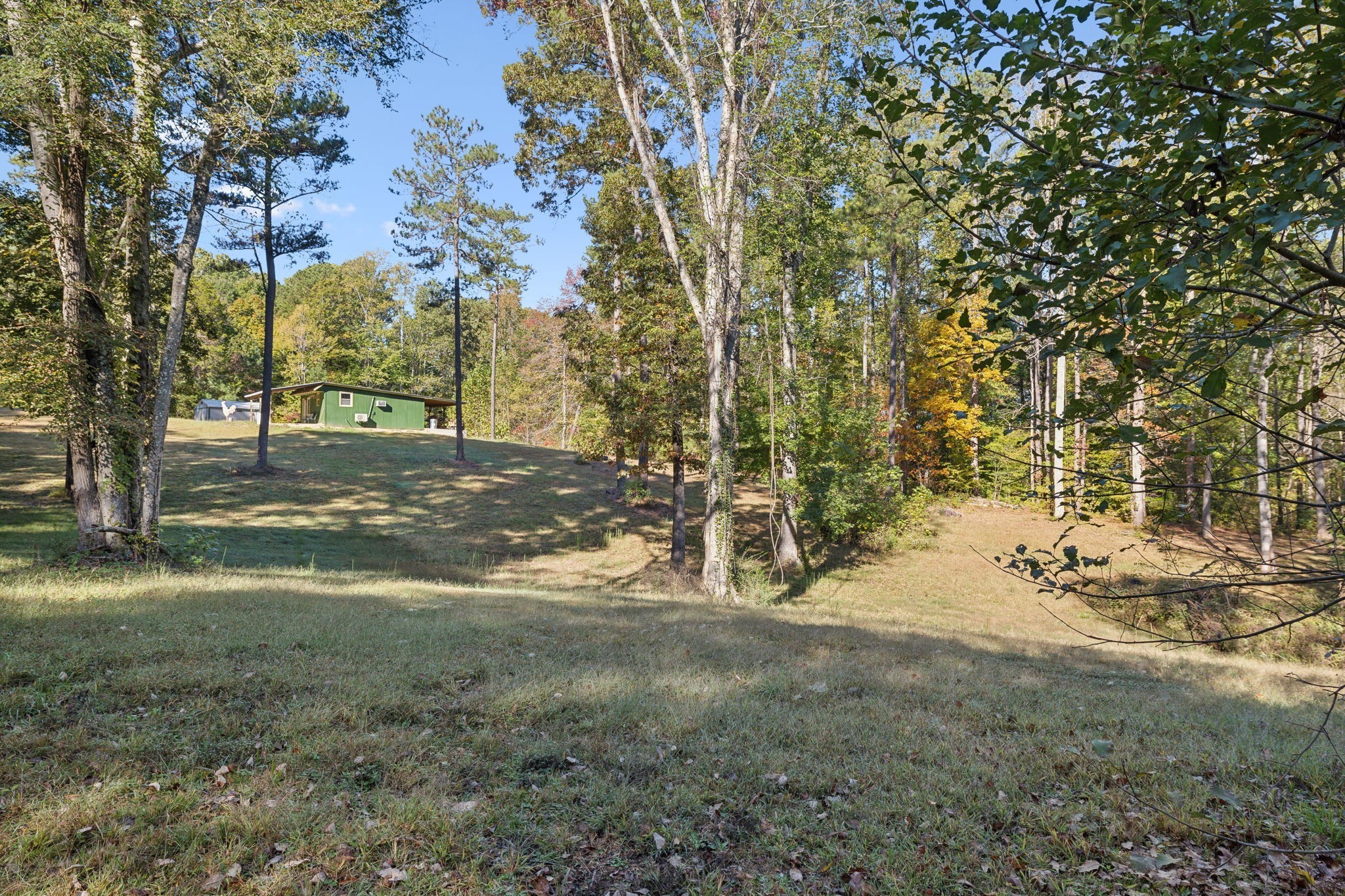 534 Whitney Branch Road Springville, TN 38256 - Photo 9 of 41 Gallery Image 9
