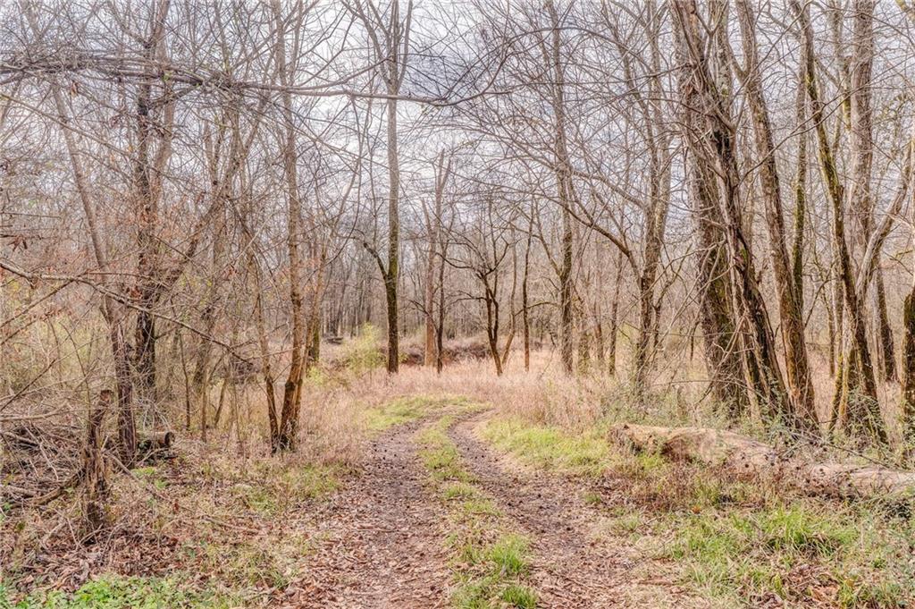 335 Bells Ferry Road Northeast Rome, GA 30161 - Photo 58 of 81