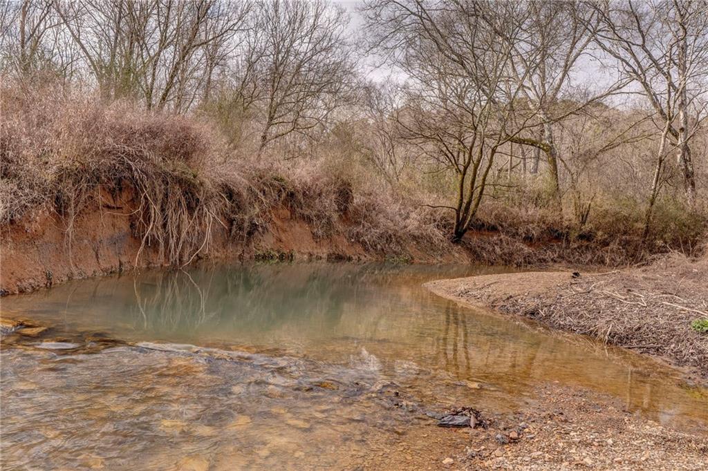 335 Bells Ferry Road Northeast Rome, GA 30161 - Photo 60 of 81 a view of a lake with a tree