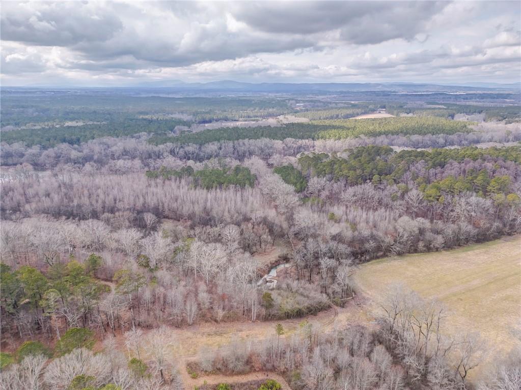 335 Bells Ferry Road Northeast Rome, GA 30161 - Photo 72 of 81 a view of a yard next to a yard