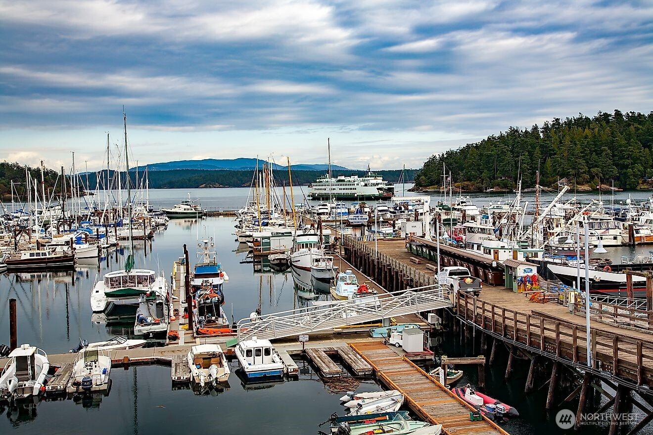 232 A Street, Unit R4 Friday Harbor, WA 98250 - Photo 33 of 40