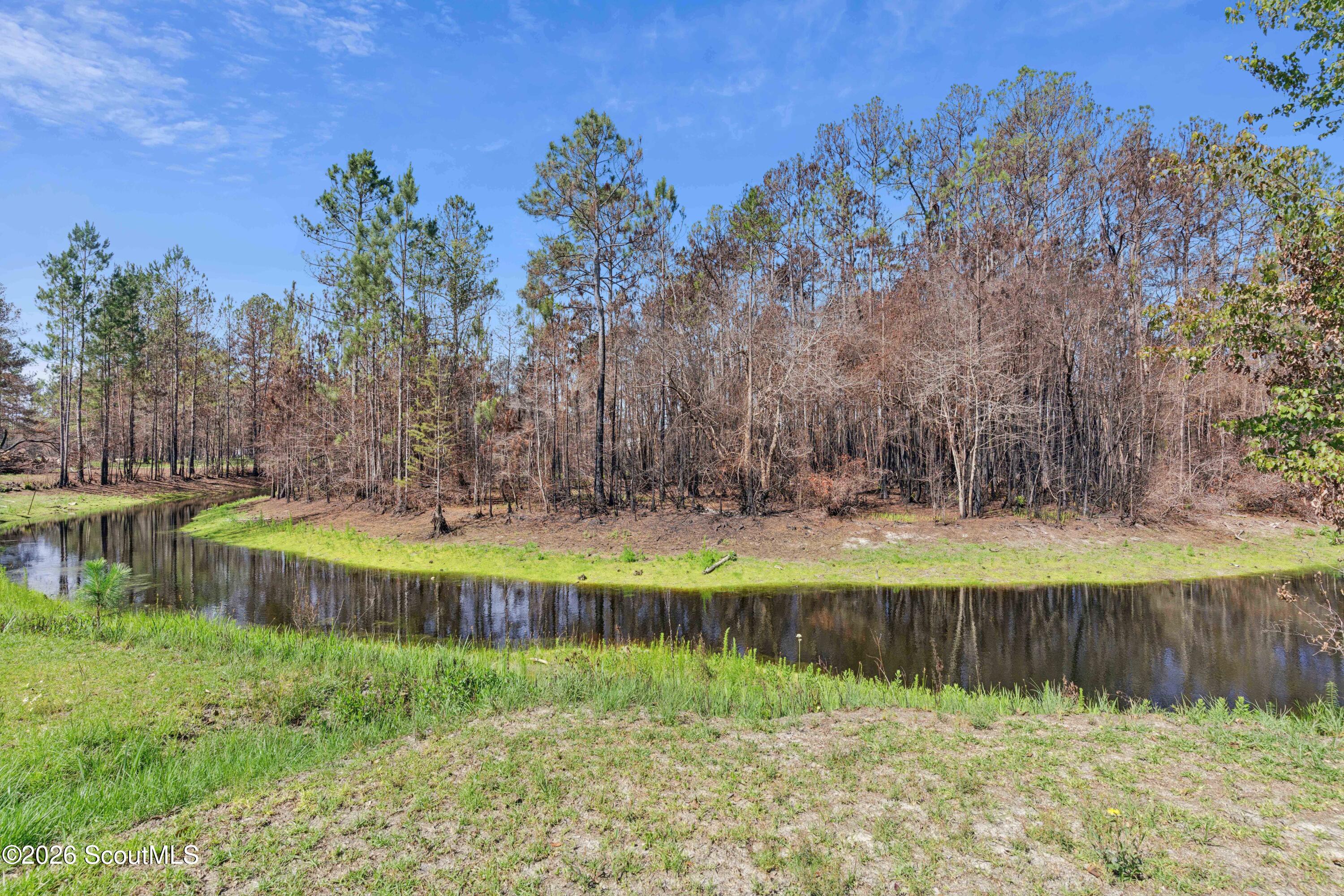 15-16 17 Sunshine Road Hortense, GA 31543 - Photo 8 of 12