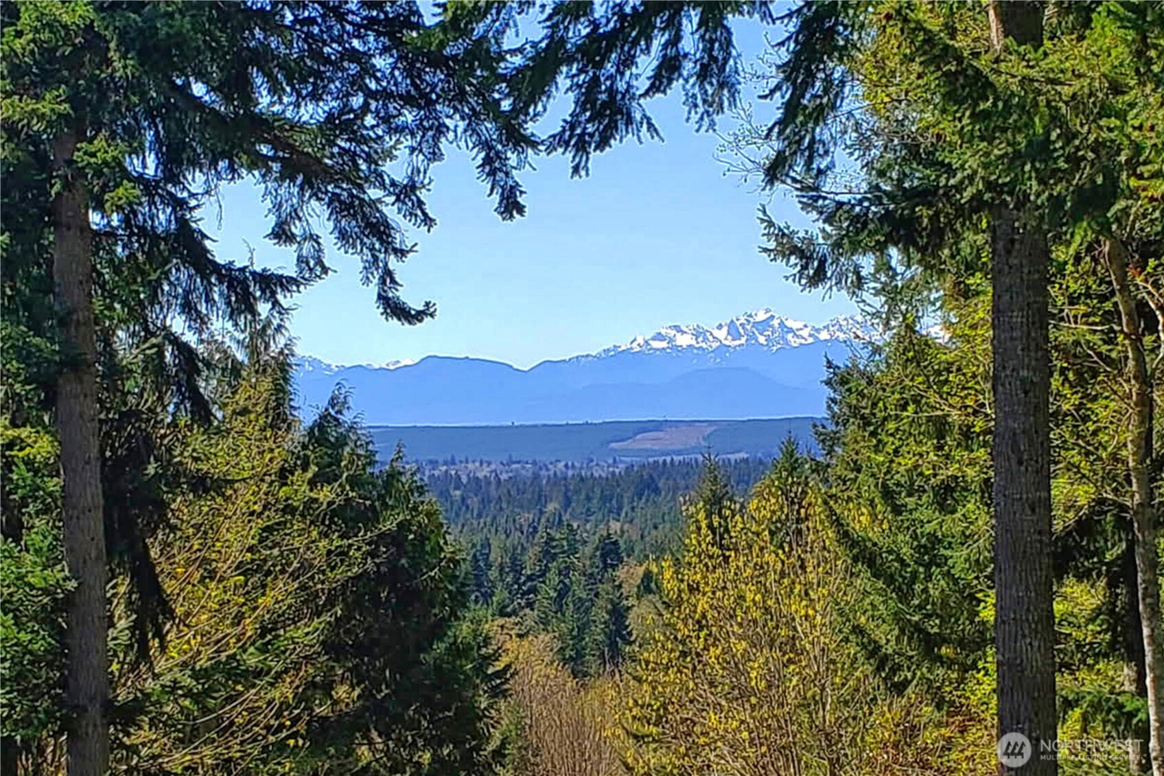9918 Northeast Kingston Farm Road Kingston, WA 98346 - Photo 6 of 40