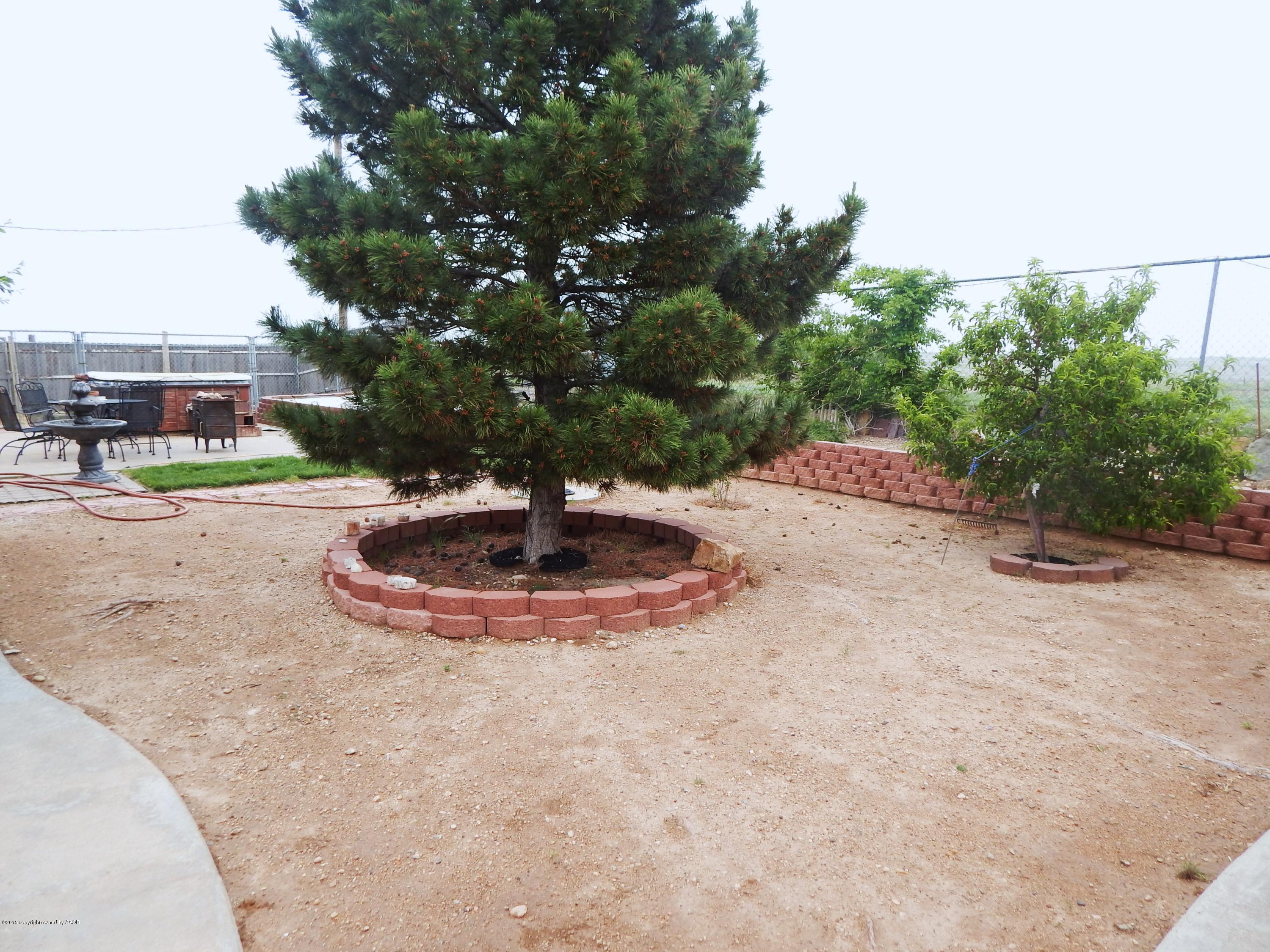 6100 Hester Road Amarillo, TX 79124 - Photo 21 of 21 ANOTHER BACKYARD VIEW