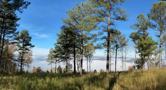 $945,000 | 0 Buck Crossing Drive, Unit 1017, Guild, TN 37340