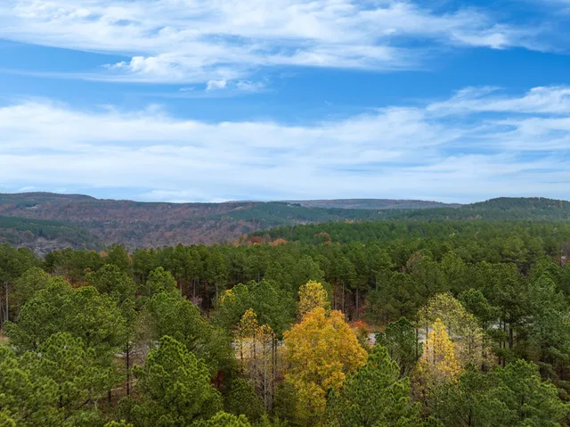 $945,000 | 0 Buck Crossing Drive, Unit 1017, Guild, TN 37340