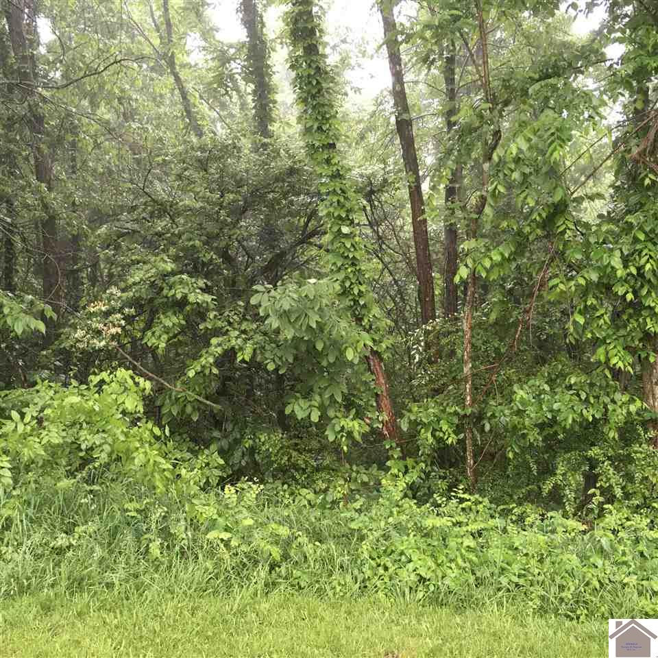 0 Blue Ridge Road, Unit 30 AND 31 Smithland, KY 42081 - Photo 1 of 1 Photo 1