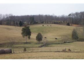 600 Ripley Lane Chuckey, TN 37641 - Photo 2 of 2 Photo 3