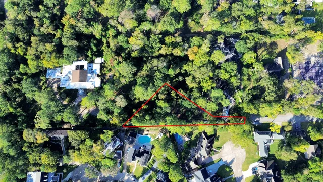 a picture of flowers