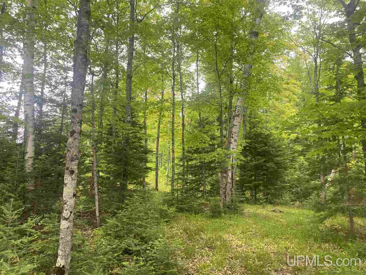 Tbd West Tamarack Lake Road, Unit 17 Iron River, MI 49935 - Photo 38 of 45