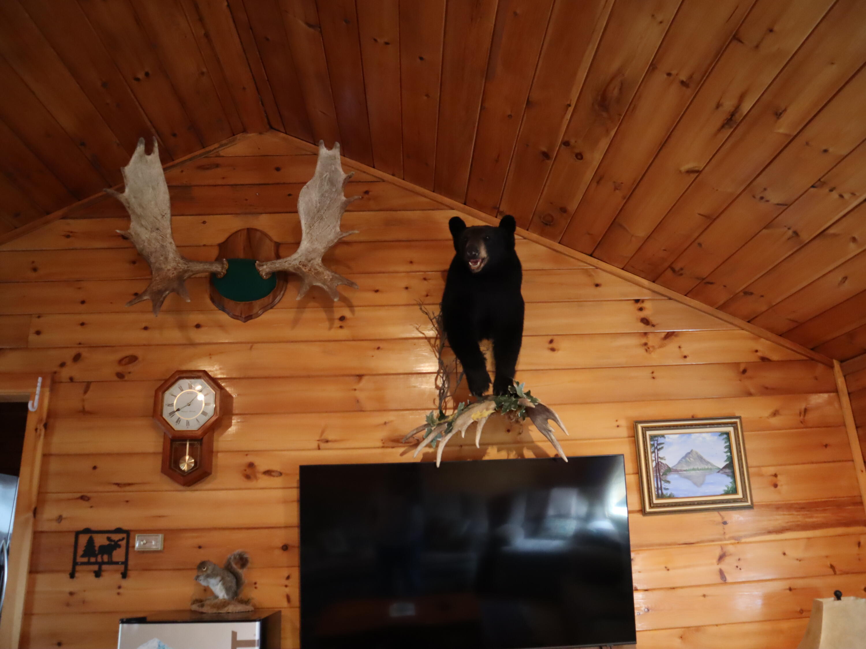 540 Main Street Jackman, ME 04945 - Photo 25 of 28 Taxidermy 1