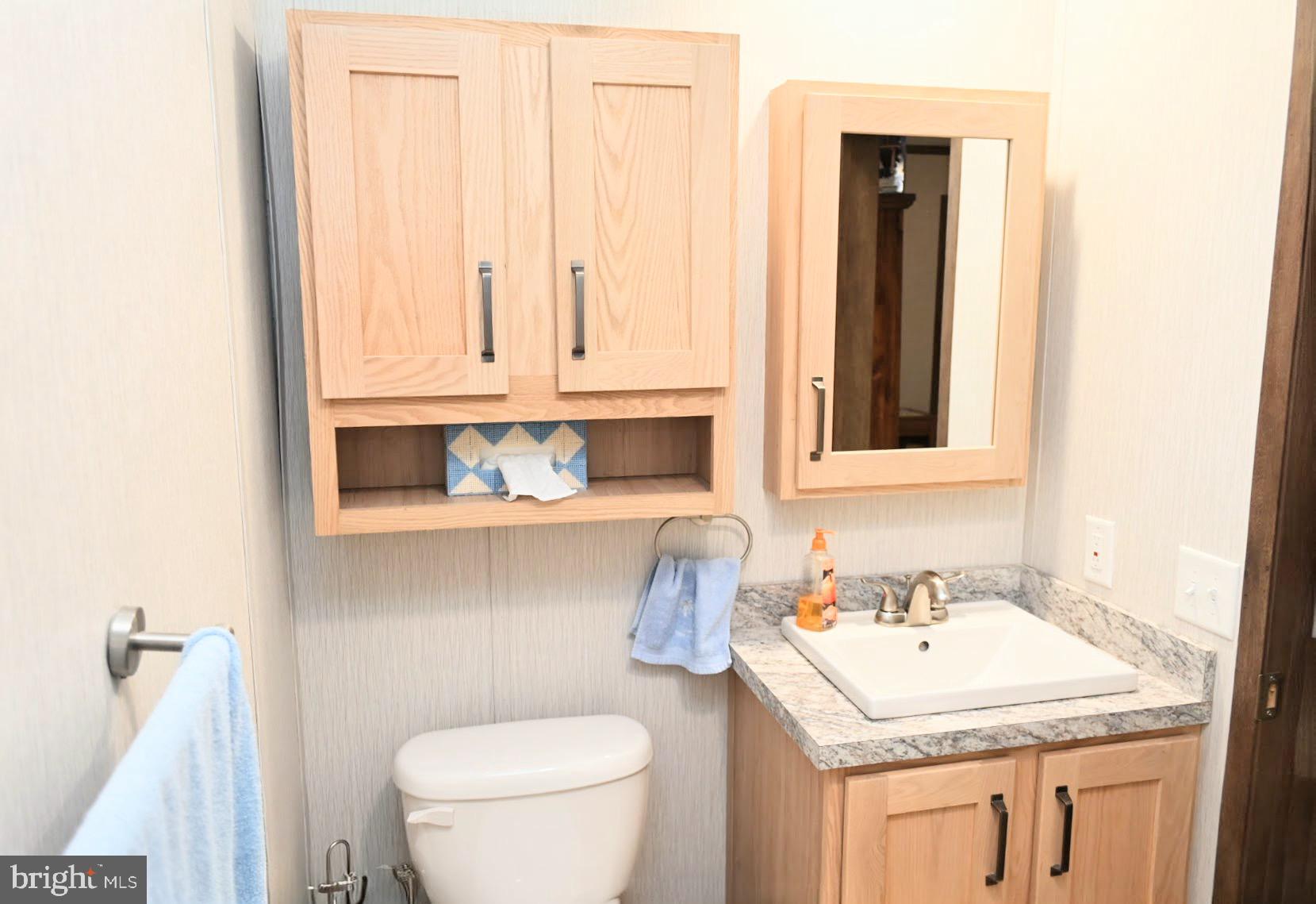 103 Carbridge Road East Stewartstown, PA 17363 - Photo 18 of 28 a bathroom with a sink toilet and mirror