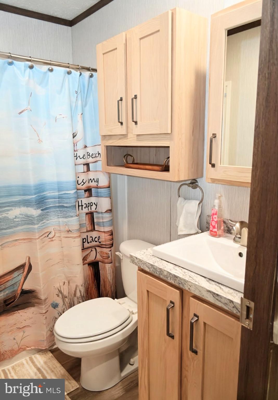 103 Carbridge Road East Stewartstown, PA 17363 - Photo 23 of 28 a bathroom with a sink a toilet and a shower curtain